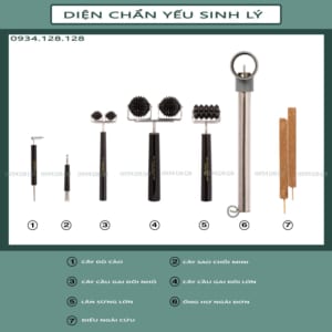 Trọn bộ Diện Chẩn yếu sinh lý