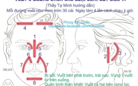 Phác đồ tổng hợp Diện Chẩn tăng sức đề kháng phòng chống virus